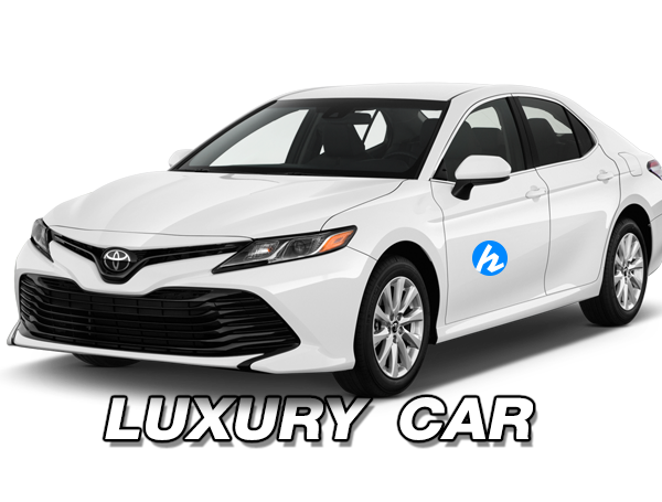 Luxury Car VIP