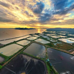 ท่านางหอม-หาดใหญ่-สนามบิน